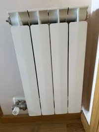 IMG_4056.webp IMG_4056.webp