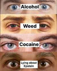 IMG_3732.webp IMG_3732.webp