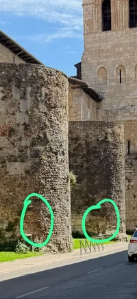 b9a61cec-912f-4e86-80d7-608e241e96e1.webp b9a61cec-912f-4e86-80d7-608e241e96e1.webp