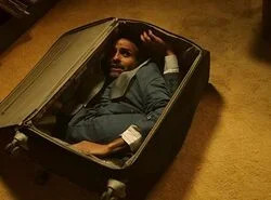 1000023333.webp 1000023333.webp