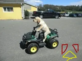 IMG_20170805_145452_134.webp IMG_20170805_145452_134.webp