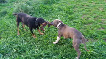 20181214_165932.webp 20181214_165932.webp