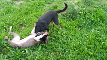 20181214_160600.webp 20181214_160600.webp