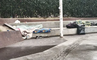 1000024023.webp 1000024023.webp