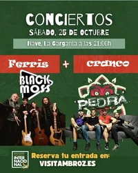 Screenshot_165.webp Screenshot_165.webp