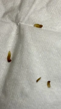 IMG_3807.webp IMG_3807.webp