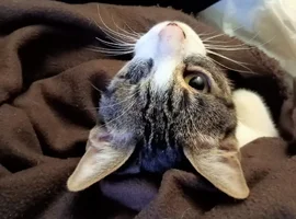 IMG-20251106-WA0038.webp IMG-20251106-WA0038.webp