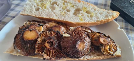 20251116_142608.webp 20251116_142608.webp