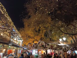 IMG_20251125_183922.webp IMG_20251125_183922.webp