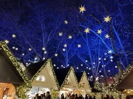 IMG_20251125_180150.webp IMG_20251125_180150.webp