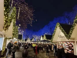 IMG_20251125_180159.webp IMG_20251125_180159.webp