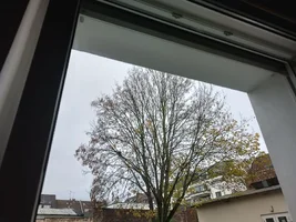 IMG_20251128_131321.webp IMG_20251128_131321.webp