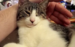 IMG_20251213_024846.webp IMG_20251213_024846.webp