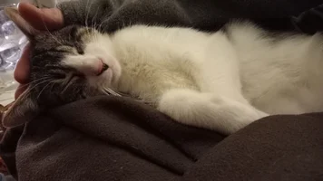 IMG20251213025811.webp IMG20251213025811.webp