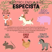 1765658655682.webp 1765658655682.webp