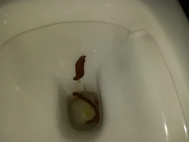 20251218_155726.webp 20251218_155726.webp