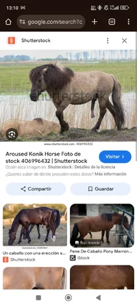 Screenshot_2026-01-02-13-10-32-360_com.android.chrome.webp Screenshot_2026-01-02-13-10-32-360_com.android.chrome.webp