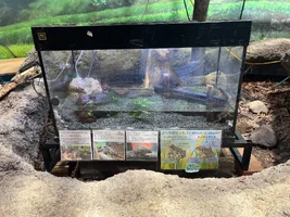 IMG_8283.webp IMG_8283.webp