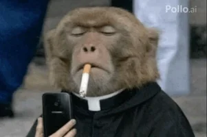 29708.webp 29708.webp