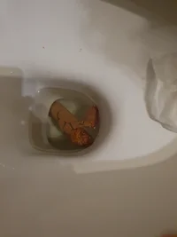 20260111_143751.webp 20260111_143751.webp