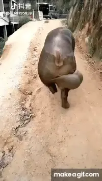 3ZuqFi.webp 3ZuqFi.webp