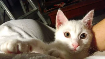 IMG-20160324-WA0111.webp IMG-20160324-WA0111.webp