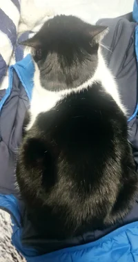 IMG_20260131_083706.webp IMG_20260131_083706.webp