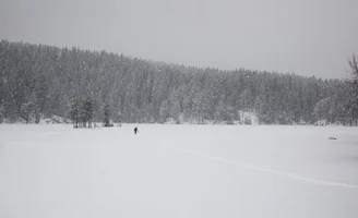 151790514_3734394383341211_7229934168132727869_n (1).webp 151790514_3734394383341211_7229934168132727869_n (1).webp