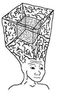 1771783607491.webp 1771783607491.webp