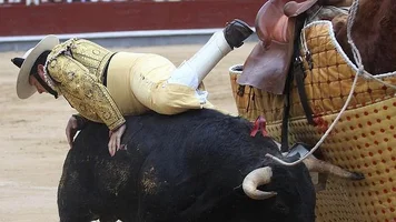 1771999637867.webp 1771999637867.webp