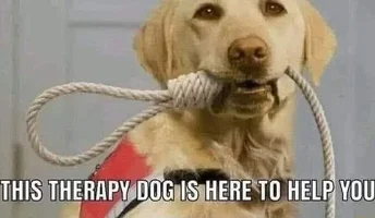 FB_IMG_1771063830053.webp FB_IMG_1771063830053.webp