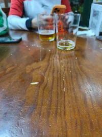 IMG_20260302_202959.webp IMG_20260302_202959.webp