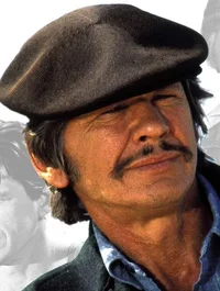 Charles Bronson.webp Charles Bronson.webp