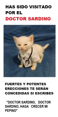 627d871856dfe17b187e7970639847581222575d8330633d0c08477db773455a.webp 627d871856dfe17b187e7970639847581222575d8330633d0c08477db773455a.webp