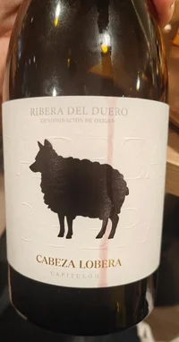 IMG-20260314-WA0021.webp IMG-20260314-WA0021.webp