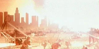 1000039631.webp 1000039631.webp