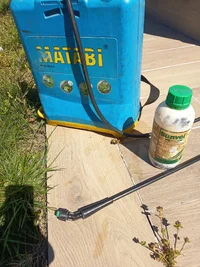 1000013221.webp 1000013221.webp