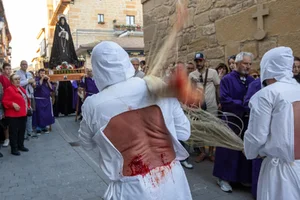 picaos-1.webp picaos-1.webp