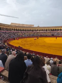 17759274883447731390101974919356.webp 17759274883447731390101974919356.webp