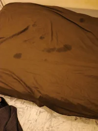 IMG_20260414_035612.webp IMG_20260414_035612.webp