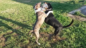 20190111_162208.webp 20190111_162208.webp