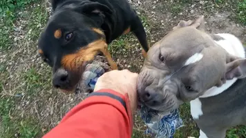 20190115_172424.webp 20190115_172424.webp