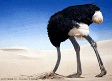 blind-blind-man.webp blind-blind-man.webp