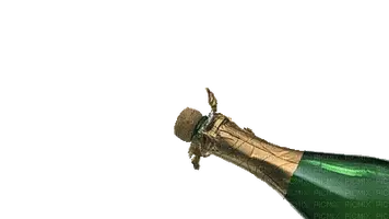 IMG_3592.webp IMG_3592.webp