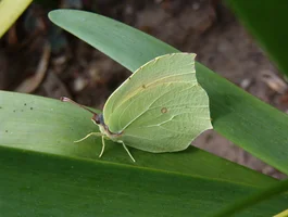 ID(240_2)_IM004862.webp ID(240_2)_IM004862.webp