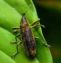 ID(3583_2)_a.webp ID(3583_2)_a.webp