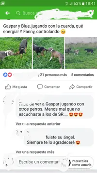 20190321_184436.webp 20190321_184436.webp