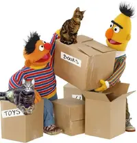 BertErnieGatos.webp BertErnieGatos.webp