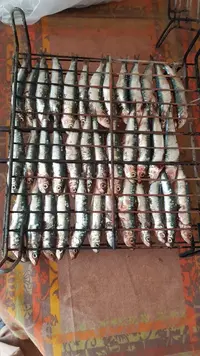 20190323_101737.webp 20190323_101737.webp