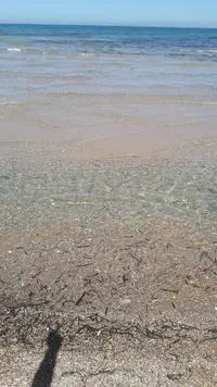 15564512432881149821366.webp 15564512432881149821366.webp